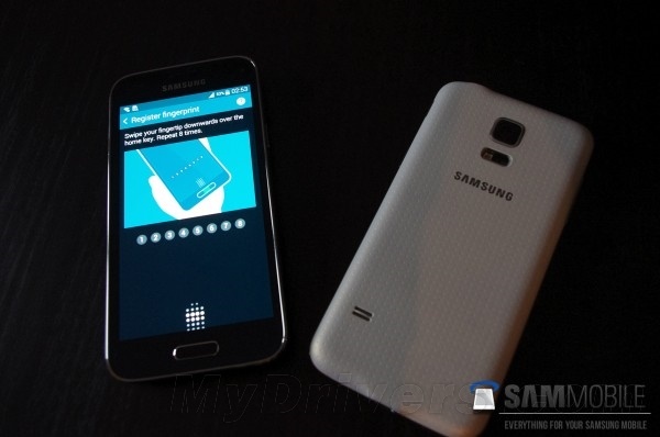 Galaxy S5 mini真机大曝光：小号“创可贴”